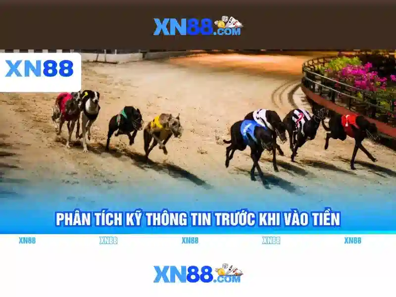💎kèo nhà cái hôm nay trực tiếp bóng đá💎 💎kèo nhà cái hôm nay trực tiếp bóng đá💎