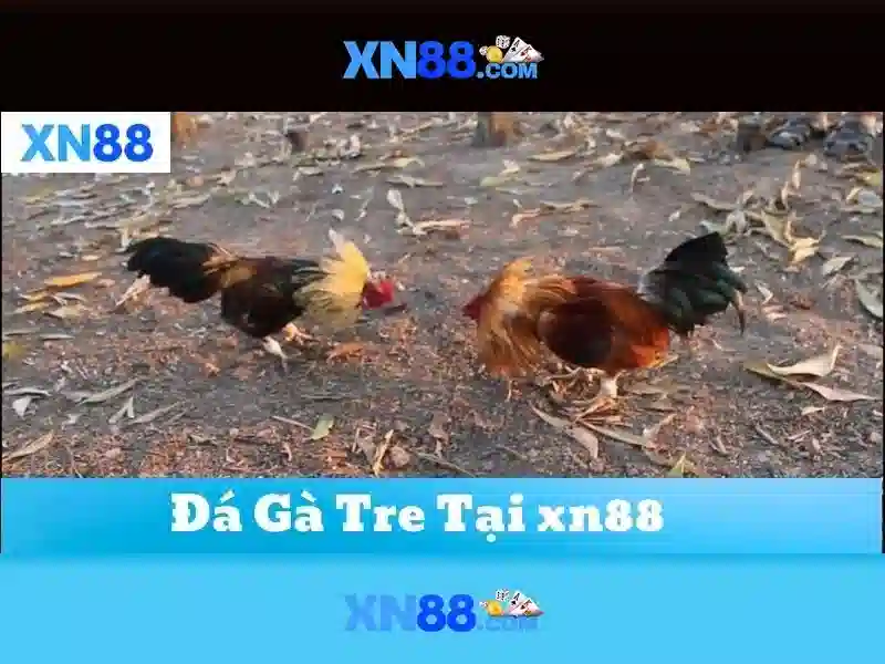 💎oryx slots machine💎 💎oryx slots machine💎