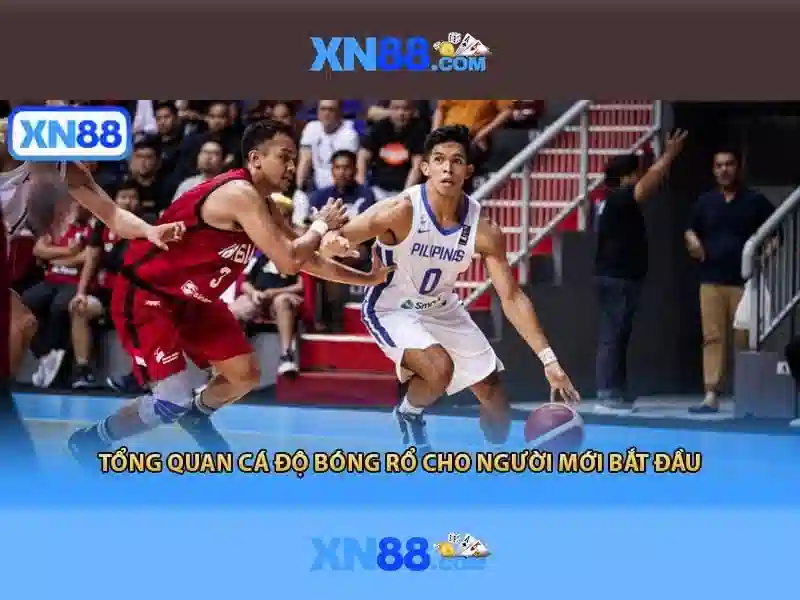 💎bảo hiểm cá cược💎 💎bảo hiểm cá cược💎