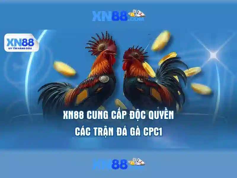 💎tỉ lệ kèo nhà cai💎 💎tỉ lệ kèo nhà cai💎