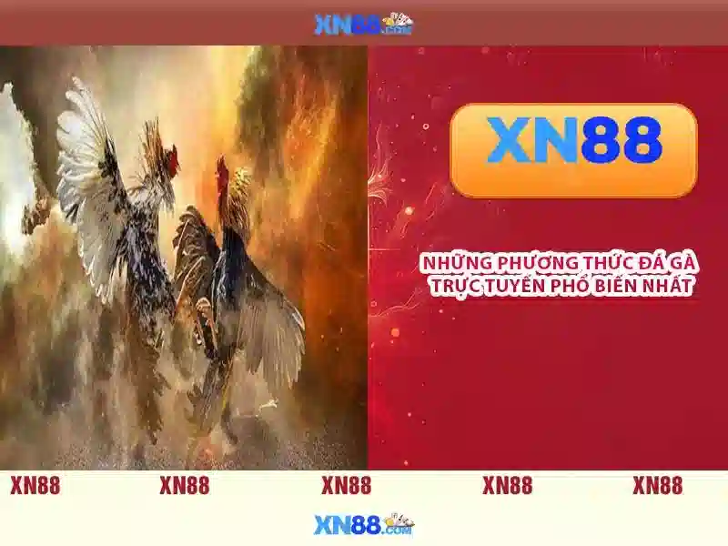 💎lịch thi đấu và tỷ lệ cá cược💎 💎lịch thi đấu và tỷ lệ cá cược💎