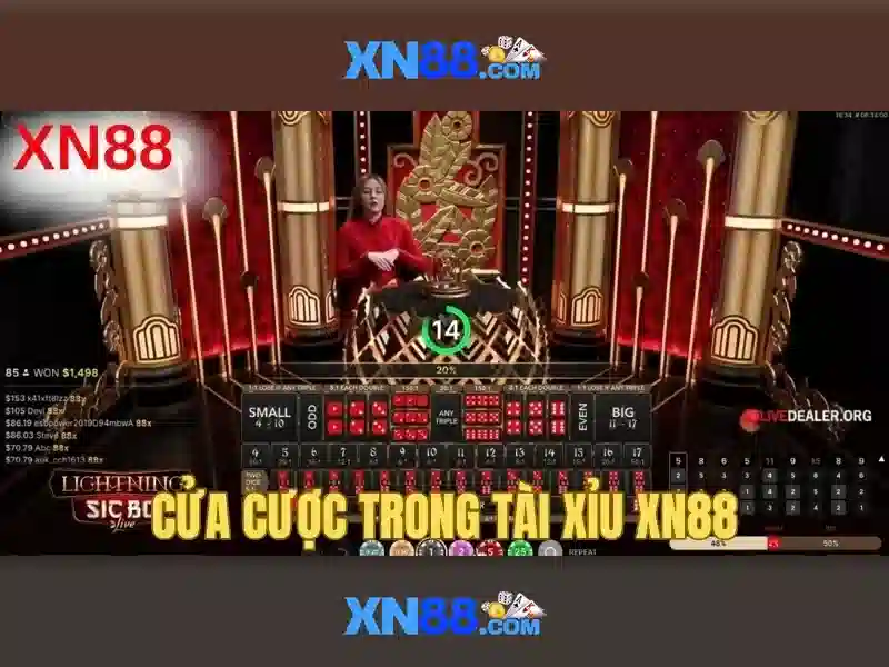 💎w88 cá cược casino💎 💎w88 cá cược casino💎