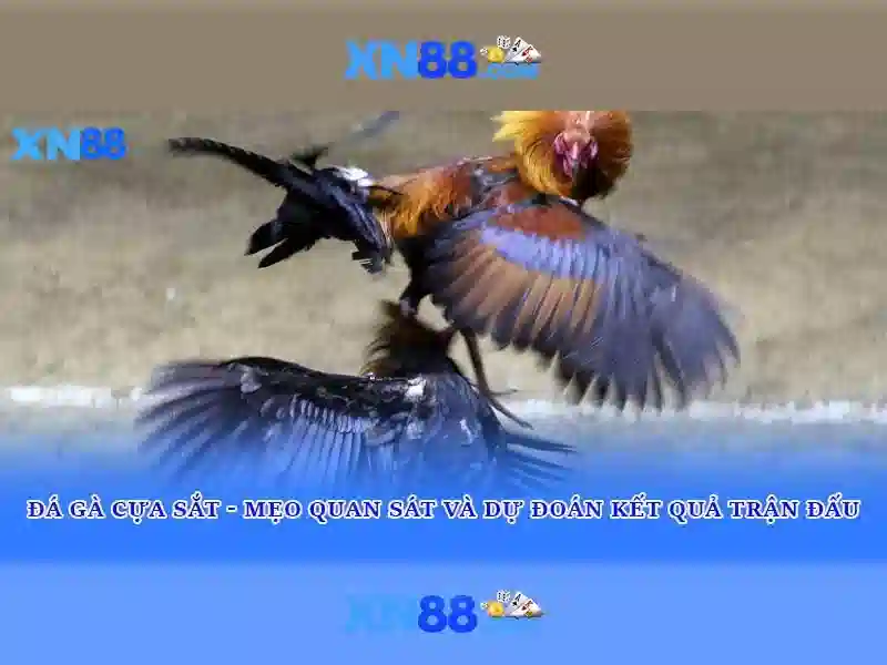 rút tiền an toàn - xn88 rút tiền an toàn - xn88