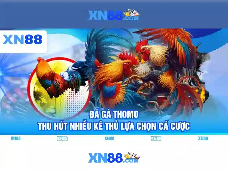 Điều Khoản Điều Kiện XN88: Quy Định Chi Tiết Cho Người Chơi SLOT - xn88 Điều Khoản Điều Kiện XN88: Quy Định Chi Tiết Cho Người Chơi SLOT - xn88
