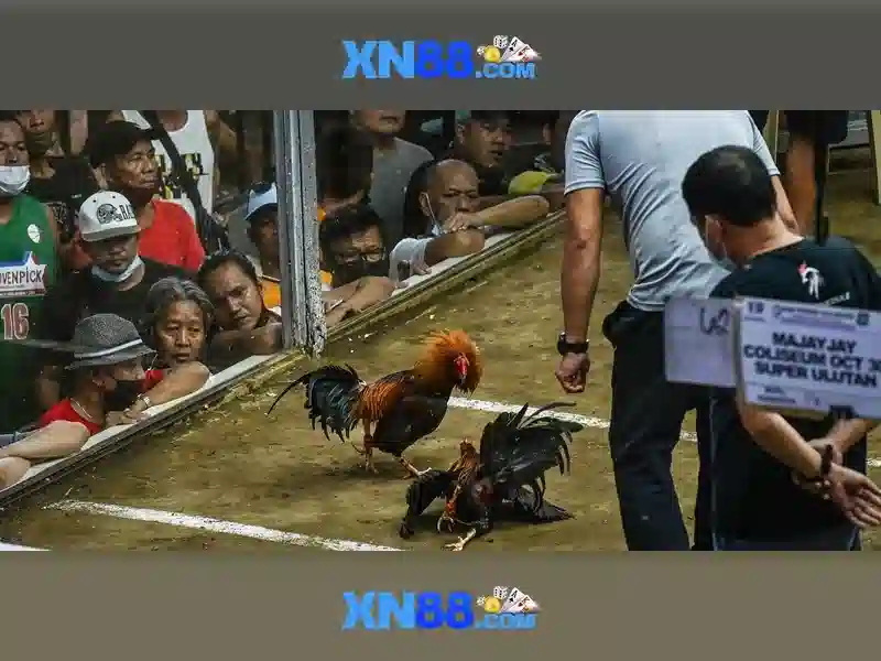 💎live slot game💎 💎live slot game💎