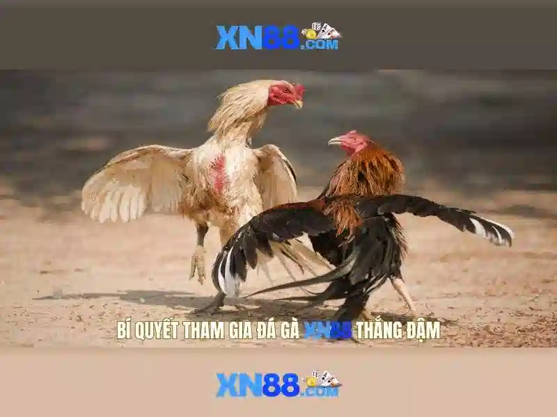 💎typhoon slots💎 💎typhoon slots💎