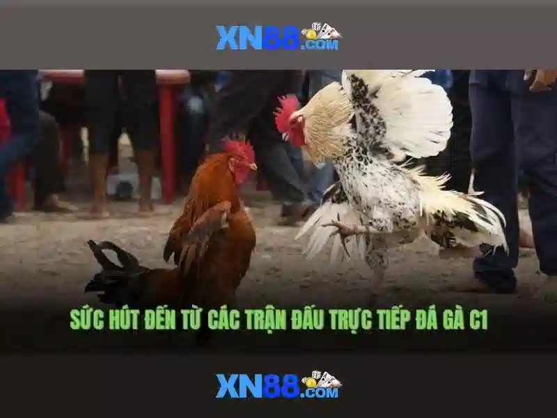 💎keo nha cai 88 ỏg💎 💎keo nha cai 88 ỏg💎