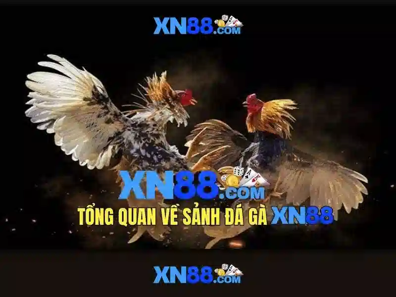 💎wat verdient 888slot slot💎 💎wat verdient 888slot slot💎