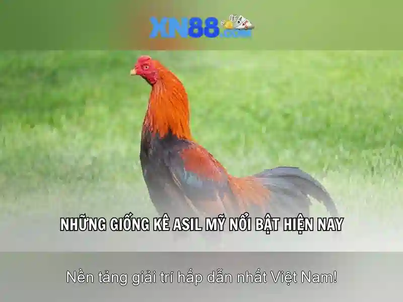 💎jackpot 388 slot💎 💎jackpot 388 slot💎