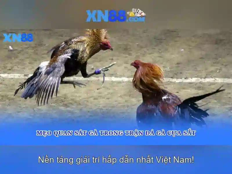💎keo nhà cai men💎 💎keo nhà cai men💎