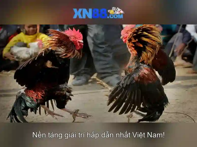 💎hit it rich slots not working💎 💎hit it rich slots not working💎