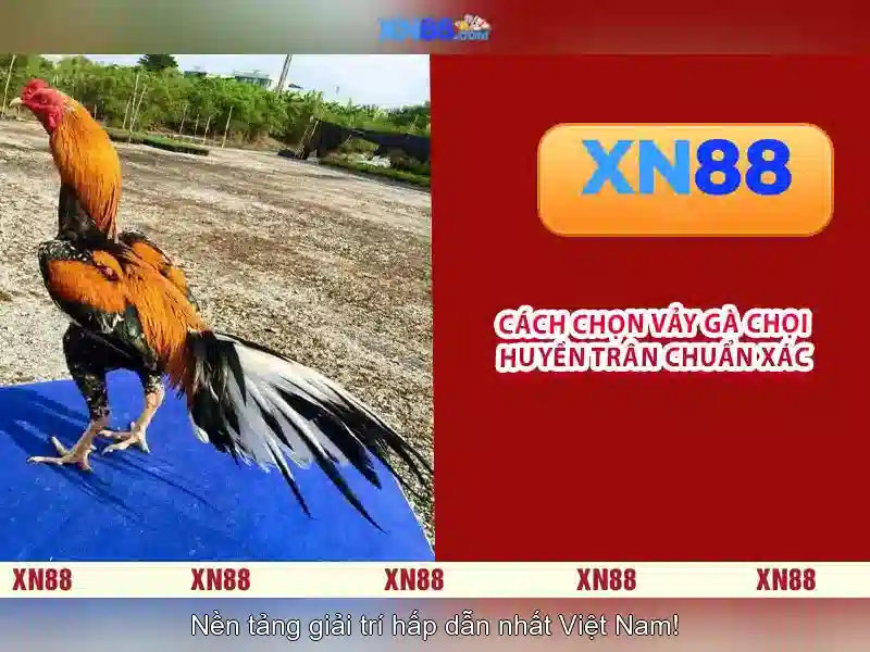 💎best genesis gaming slots💎 💎best genesis gaming slots💎