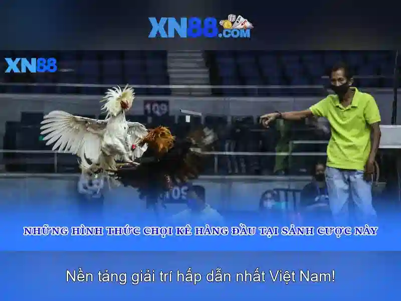 💎kyc slots💎 💎kyc slots💎