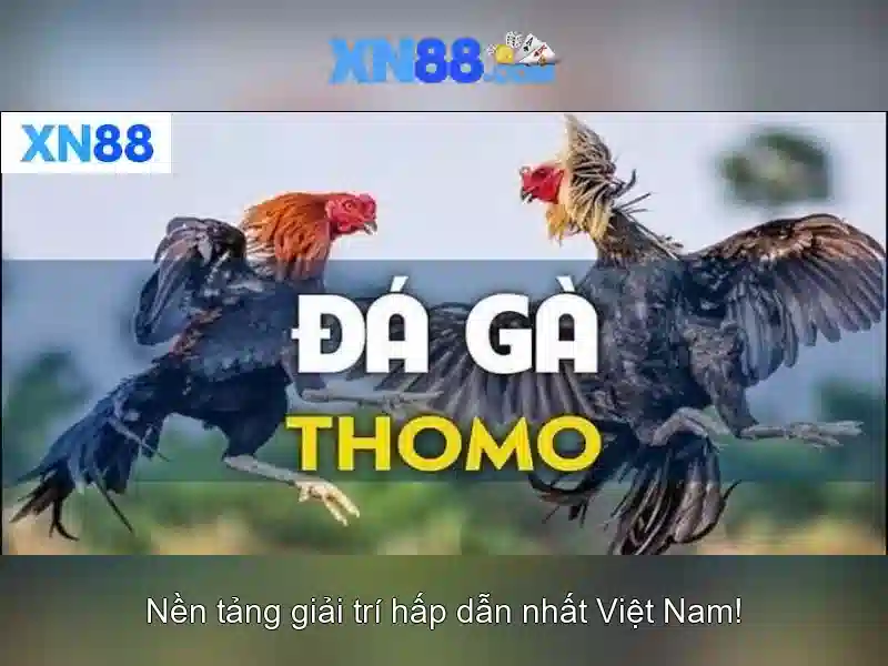 💎cung bậc cảm xúc trong cuộc sống💎 💎cung bậc cảm xúc trong cuộc sống💎