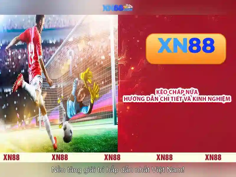 💎nhà xe liên dương bắc hà lào cai💎 💎nhà xe liên dương bắc hà lào cai💎