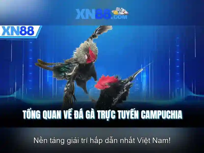 💎arena 88 slot💎 💎arena 88 slot💎