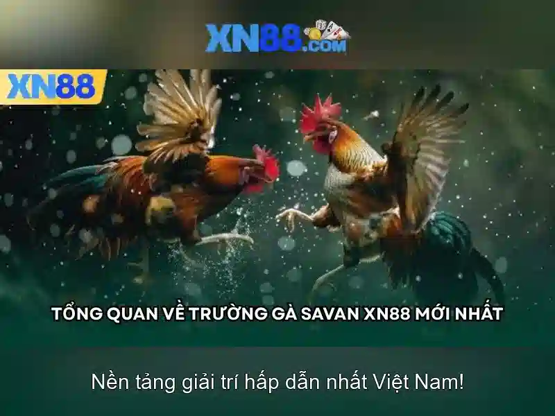 💎cá cược có tính bù giờ không💎 💎cá cược có tính bù giờ không💎