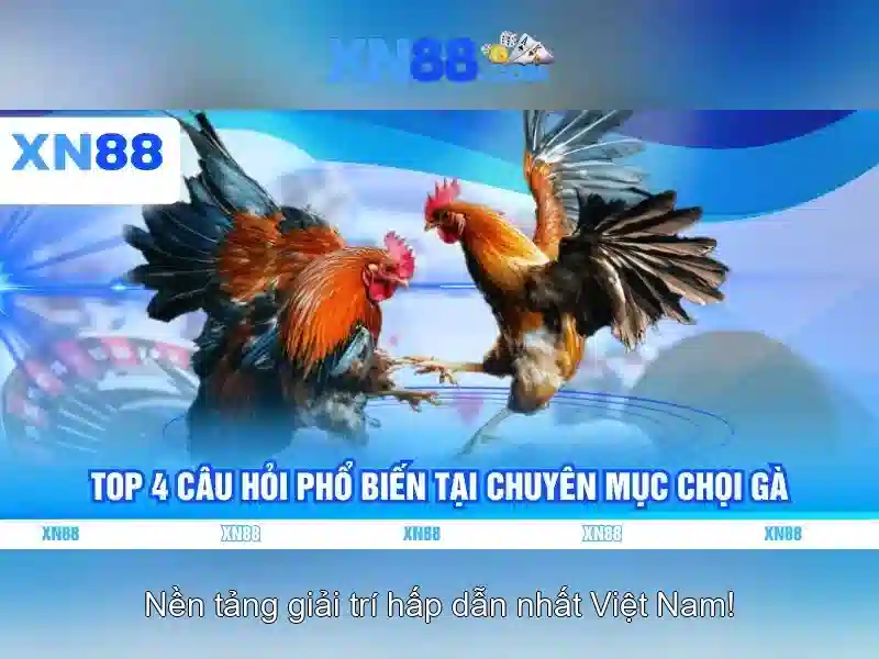 💎200 xn88 casino login💎 💎200 xn88 casino login💎