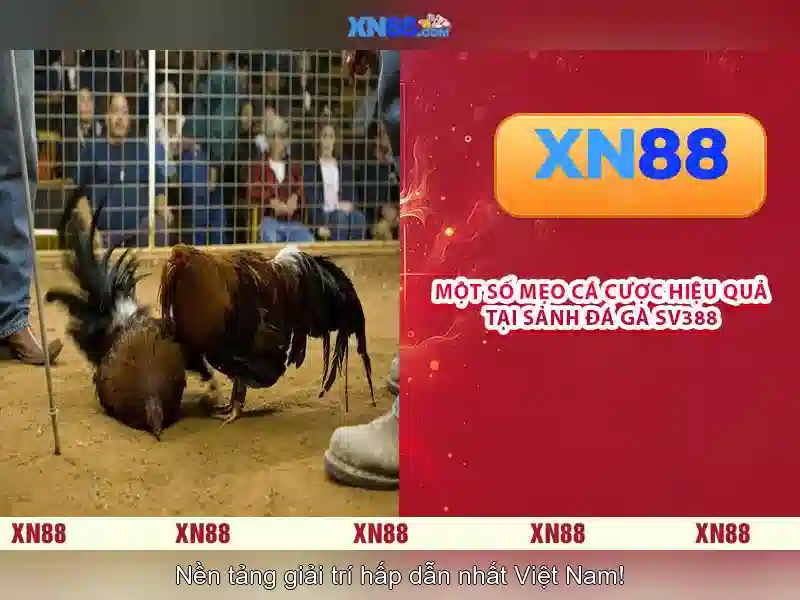 💎trang cá cược uy tín nhất aufop.com💎 💎trang cá cược uy tín nhất aufop.com💎